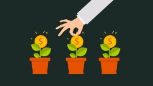 money, grow, gain, finance, income, plant, accounting, nature, bank, benefit, business, cash, coin, collect, concept, earnings, economic, economy, exchange, financial, fund, invest, management, market, payment, profit